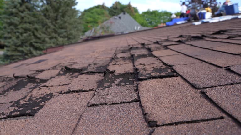 Best Roof Moss and Algae Removal  in Winton, CA
